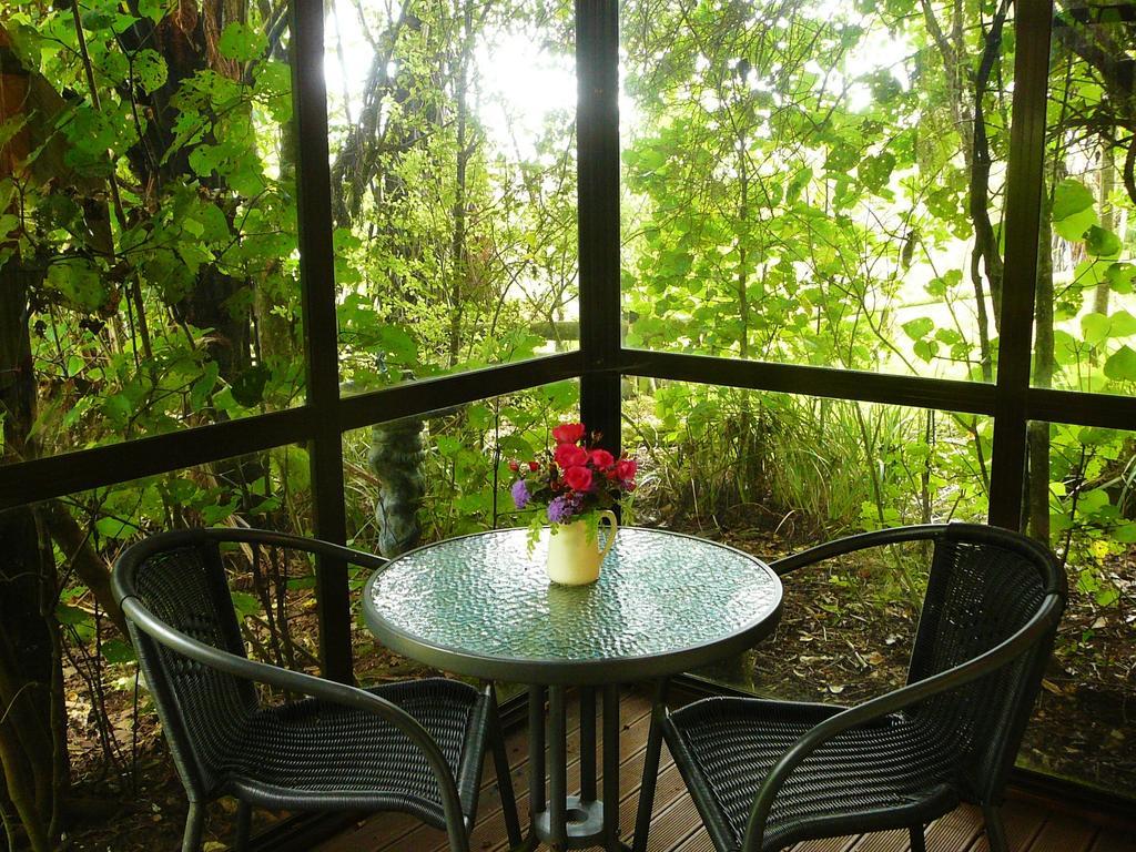 Mount Tutu Eco-Sanctuary Bed and Breakfast Ohauiti Værelse billede