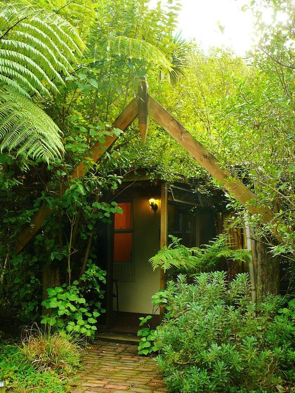 Mount Tutu Eco-Sanctuary Bed and Breakfast Ohauiti Værelse billede